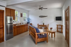 Large Studio Living Room & Kitchen