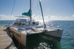 Carlos Tours catamaran at dock