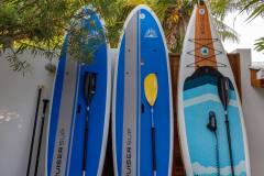 Paddle-Boards_web
