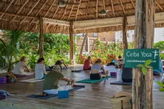 weezies-ceiba-yoga-13