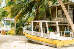 Caye-Caulker_boat_and_palms