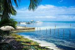 Blue water beach with palm trees in Caye Caulker, Belize