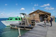 Water Taxi dock on Caye Caulker