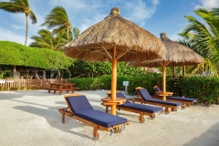 Lounge Chairs