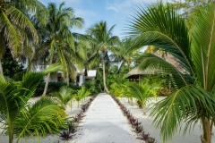Yoga Center and  grounds of Weezies Ocean Front Hotel and Cottages