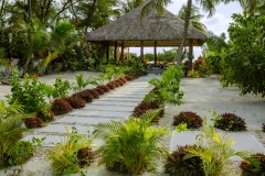 Yoga Center and  grounds of Weezies Ocean Front Hotel and Cottages
