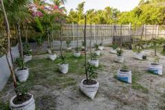 Weezies-Garden-Greenhouse-A-02_web