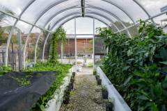 Weezies-Garden-Greenhouse-G-06_web
