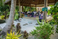 weezies-ceiba-yoga-02