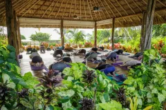 weezies-ceiba-yoga-03