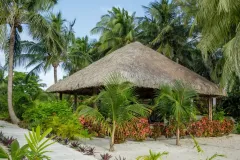 weezies-ceiba-yoga-09