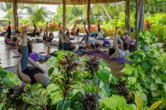 weezies-ceiba-yoga-11